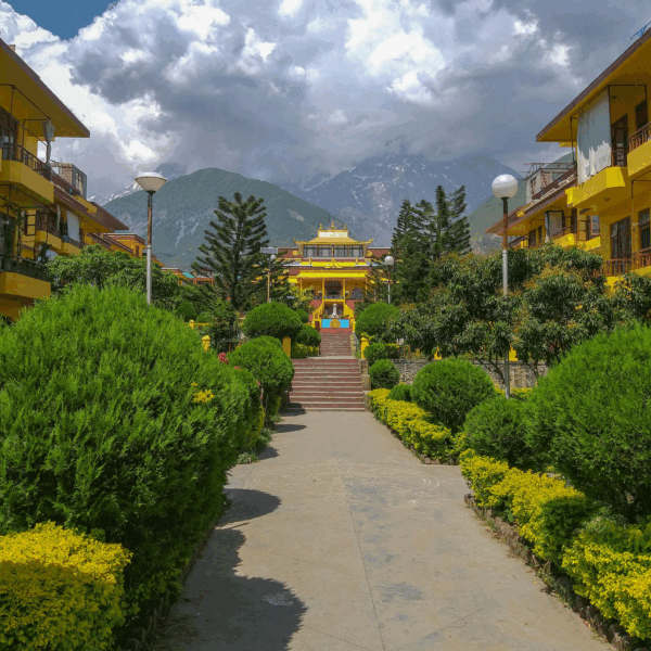 Himachal Tour Package
