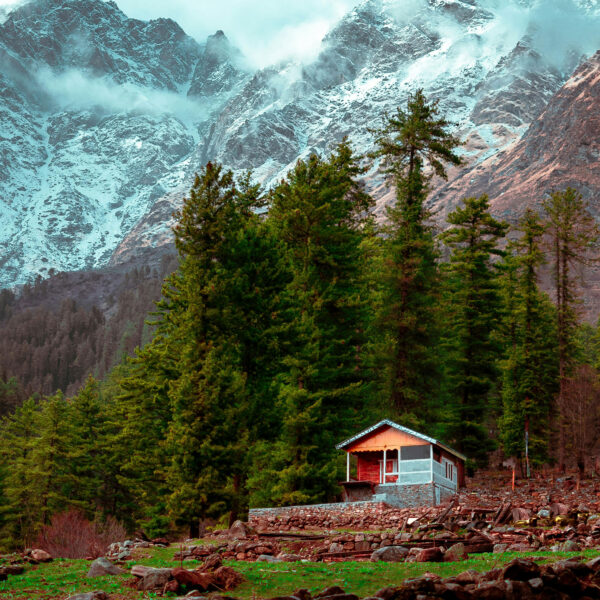 Shimla Manali Tour Package