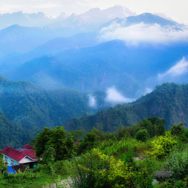 Darjelling & Gangtok tour package