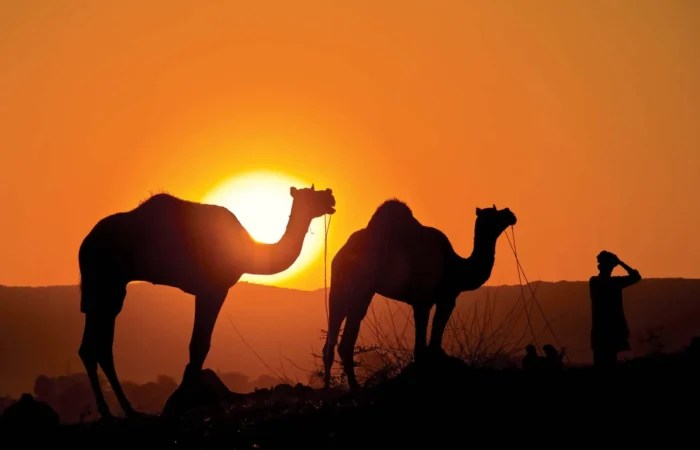 Rajasthan Christmas Vacation Tour Package