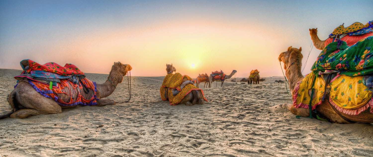 Rajasthan camel desert of Rajasthan Tour Package