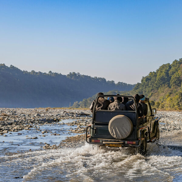 India Wildlife Tour Package