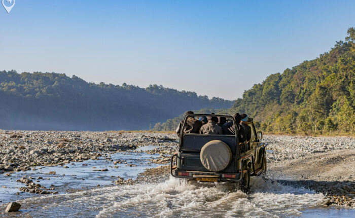 India Wildlife Tour Package