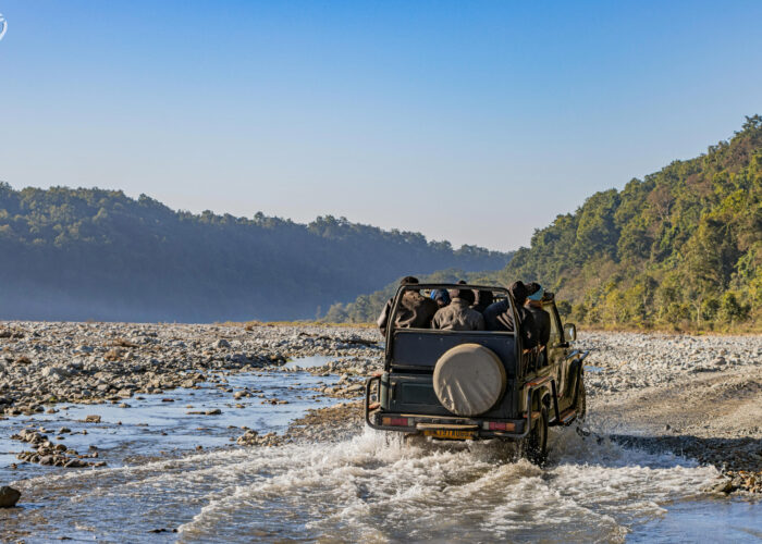 India Wildlife Tour Package