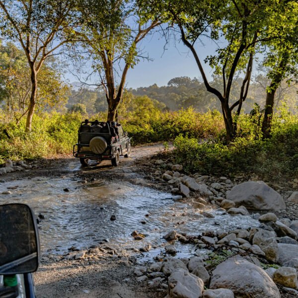India Wildlife Tour Package