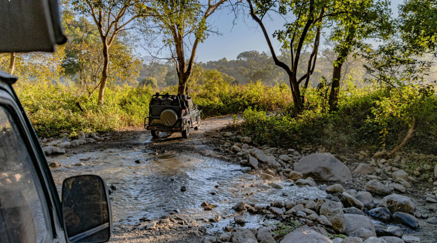 India Wildlife Tour Package
