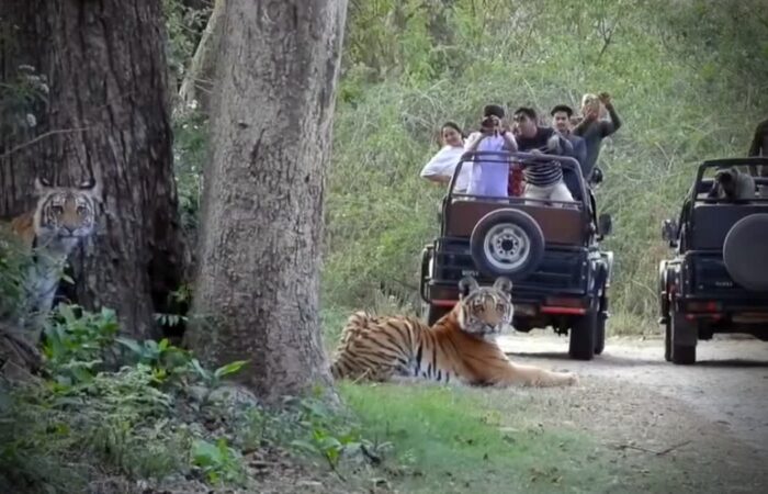 Nainital Jim Corbett Rishikesh Haridwar tour package by Colorful Destinations India