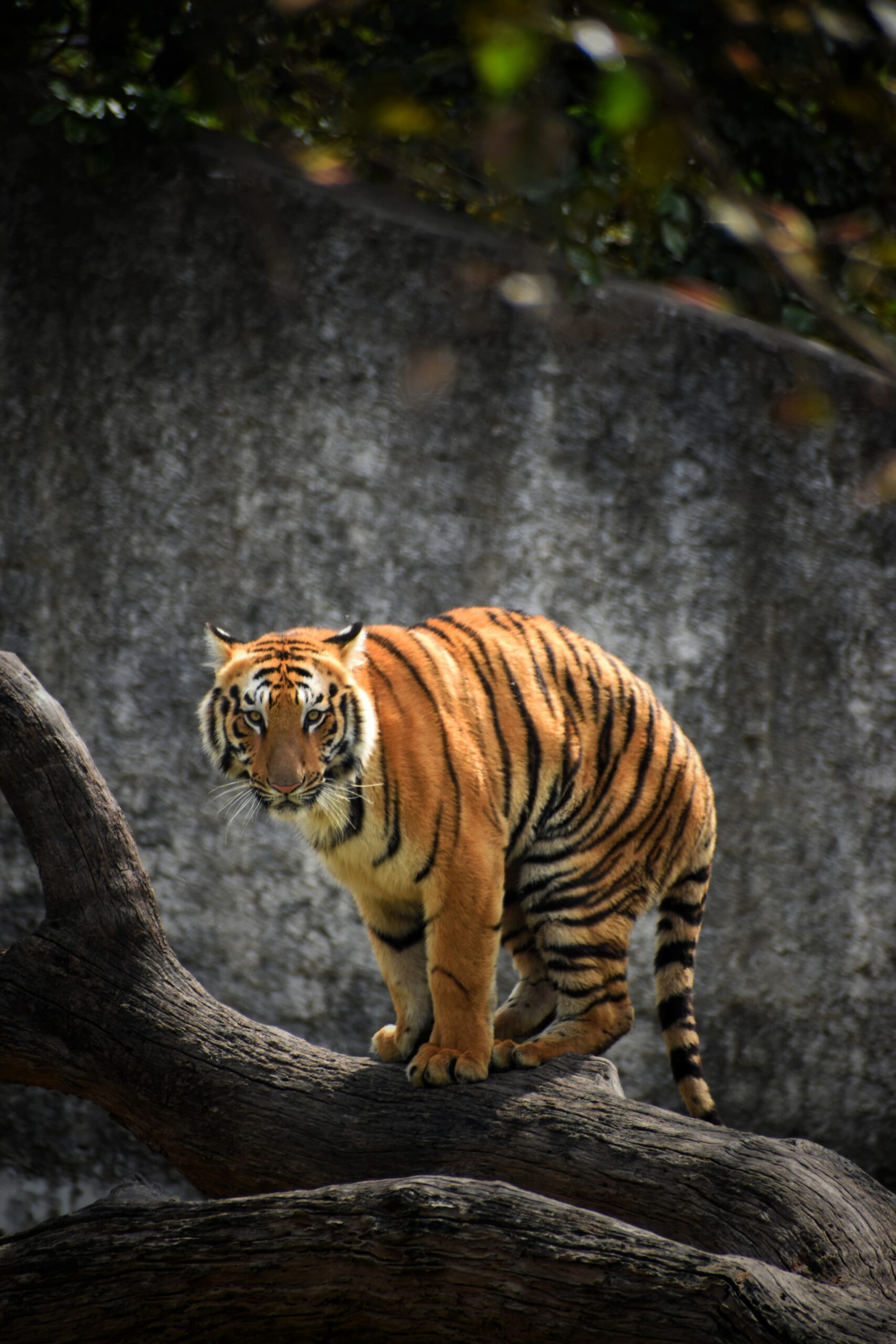 Colorful Destinations India - Colorful Destinations India