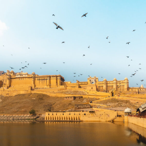Amer Fort, Delhi Agra Jaipur Tour photo by Colorful Destinations India