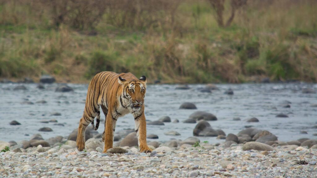 Nainital Jim Corbett Rishikesh Haridwar tour package by Colorful Destinations India