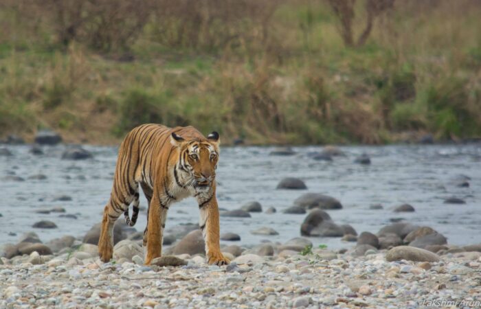 Nainital Jim Corbett Rishikesh Haridwar tour package by Colorful Destinations India