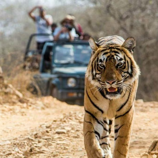 Nainital Jim Corbett Rishikesh Haridwar tour package by Colorful Destinations India