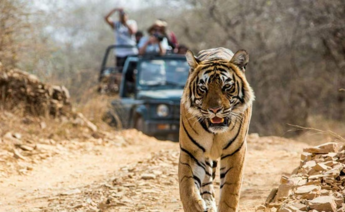 Nainital Jim Corbett Rishikesh Haridwar tour package by Colorful Destinations India