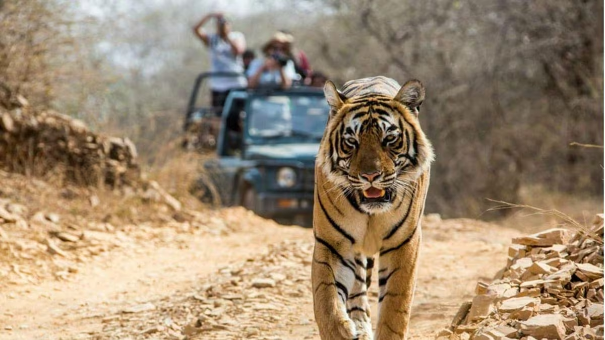 Nainital Jim Corbett Rishikesh Haridwar tour package by Colorful Destinations India