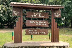 Rajaji national park