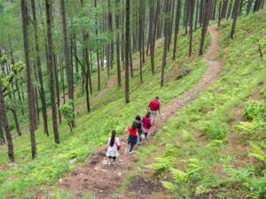 Nainital's Trekking Trails A Magical Retreat to Nainital: A Guide to the Best Sights and Adventures