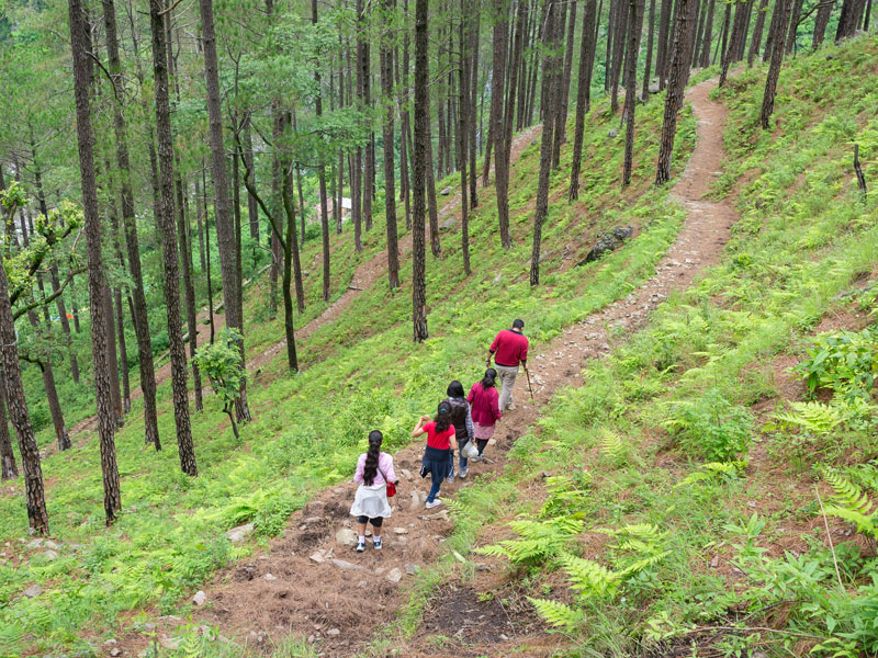 Nainital's Trekking Trails