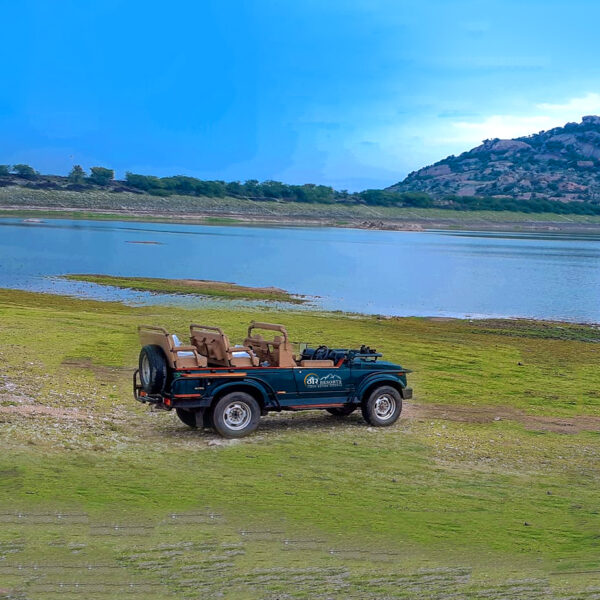 Unexplored Rajasthan Activities Local Life