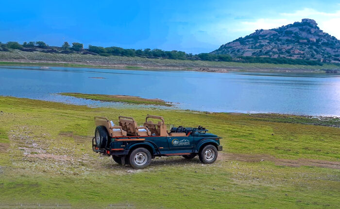 Unexplored Rajasthan Activities Local Life