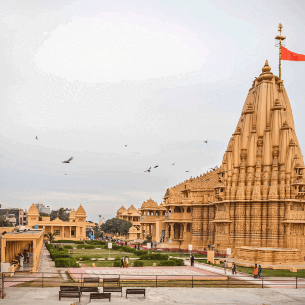 Best Gujarat Tour Package, Dwarka Somnath Sasan Gir Diu Rajkot Tour Package