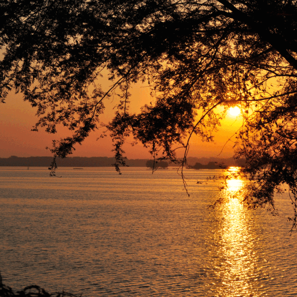 Best Gujarat Tour Package