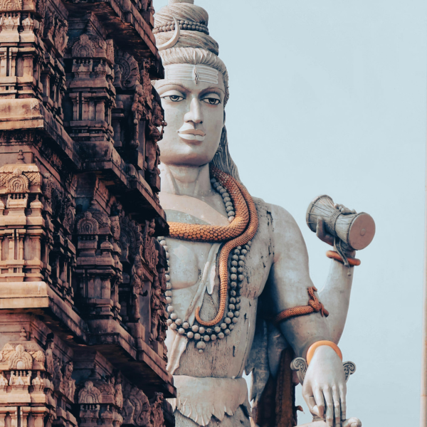 Kerala Honeymoon Tour Packages