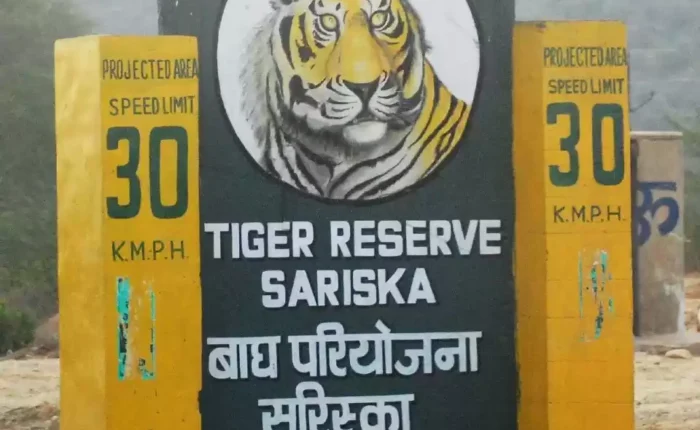 Sariska Weekend Getaway From Delhi