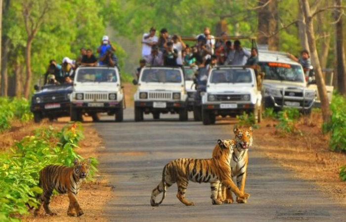 Sariska 2