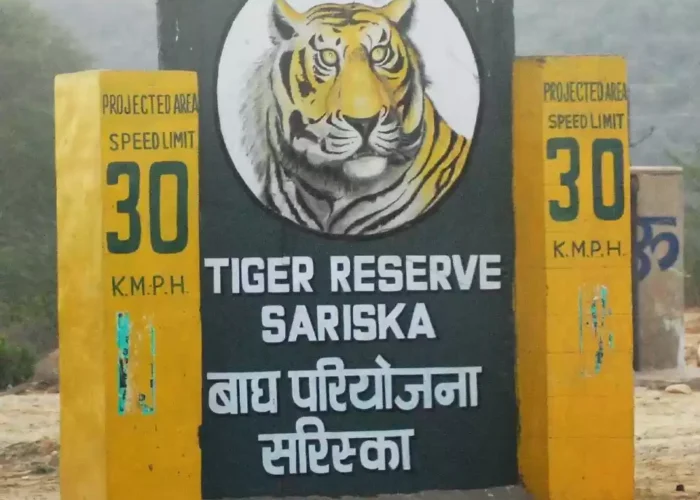Sariska Weekend Getaway From Delhi