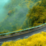 mumbai to goa road, The Great Indian 5 Road Trip