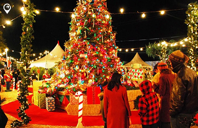 Christmas-in-Shimla